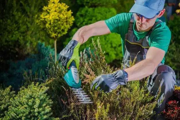 landscaping services Searingtown